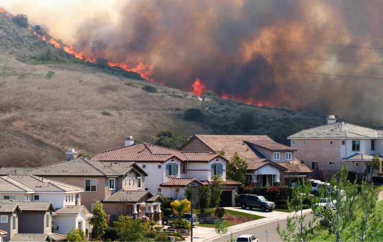 Wildfire Resilience